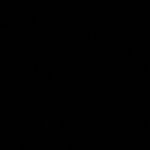 Meet your Posher, Allycia